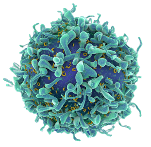 virus